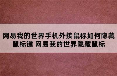 网易我的世界手机外接鼠标如何隐藏鼠标键 网易我的世界隐藏鼠标